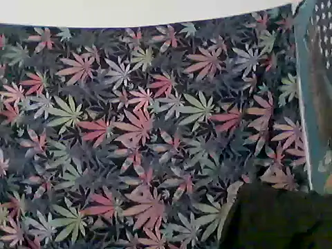 Snapshot of libraxxxstudios chatting on 06-12-26, 12:36 libraxxxstudios online show from 06-12-26, 12:36