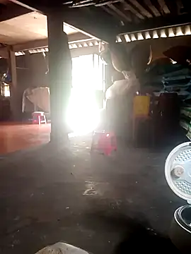 cana4455 online show from 03-24-26, 05:40