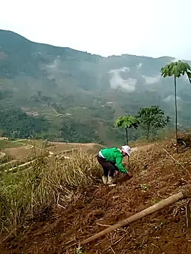 cana4455 online show from 03-10-26, 02:26