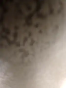 Taboada20 online show from 03-06-26, 08:04