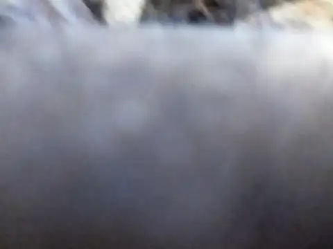 Joecool1009 online show from 02-03-26, 12:32