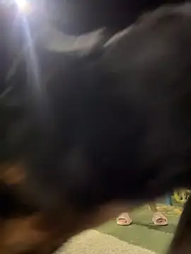 Arya    online show from 02-19-26, 05:48