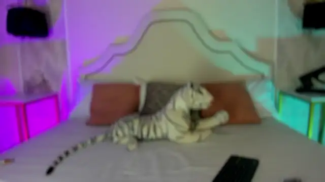 Snapshot of niicole_garner chatting on 02-25-26, 03:56 niicole garner online show from 02-25-26, 03:56