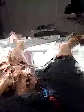 Snapshot of Al-Hari chatting on 02-04-26, 04:13 Al-Hari online show from 02-04-26, 04:13