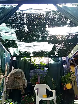 gordorichard online show from 02-21-26, 12:40