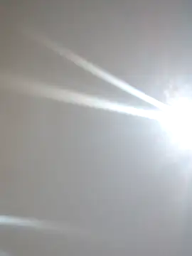 xnegritx online show from 04-05-26, 04:30