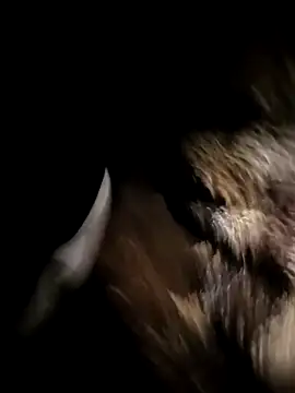 Nonamebadboy7 online show from 03-18-26, 04:15