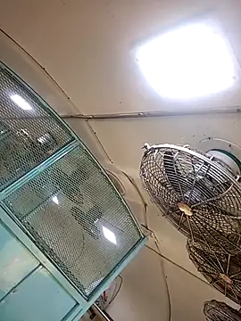 Snapshot of Talkwithsex chatting on 02-04-26, 02:39 Talkwithsex online show from 02-04-26, 02:39