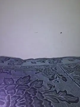 Sakeemaxxy online show from 04-13-26, 09:08