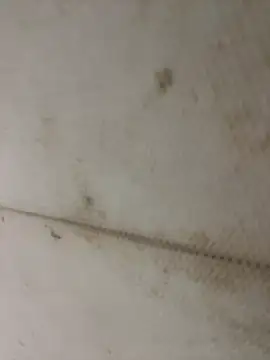 Miu Xinh online show from 04-11-26, 05:05