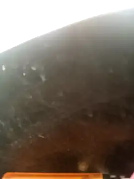 perrit17 online show from 03-13-26, 07:08