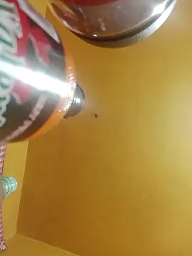 perrit17 online show from 04-04-26, 03:13