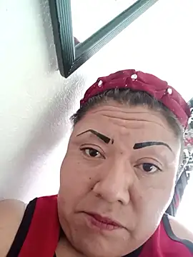 Snapshot of perrit17 chatting on 02-26-26, 11:49 perrit17 online show from 02-26-26, 11:49