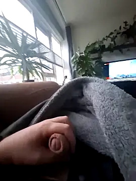 Bashard online show from 02-12-26, 07:41