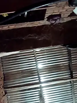 Hot ree64 online show from 03-27-26, 05:25