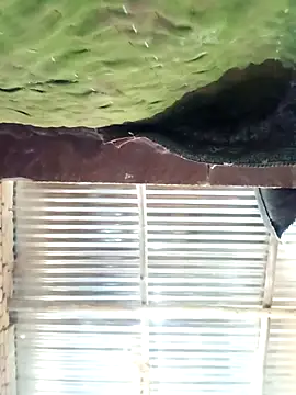 Hot ree64 online show from 03-13-26, 07:24