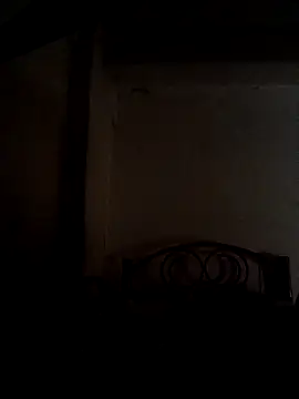 Snapshot of Wildcam21 chatting on 02-17-26, 09:12 Wildcam21 online show from 02-17-26, 09:12