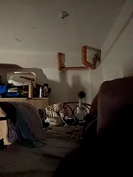 Snapshot of Wildcam21 chatting on 02-19-26, 05:21 Wildcam21 online show from 02-19-26, 05:21