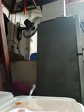 Snapshot of Wildcam21 chatting on 02-24-26, 09:54 Wildcam21 online show from 02-24-26, 09:54