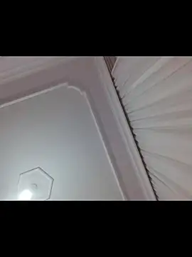 boraaily online show from 02-19-26, 10:40