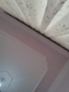 boraaily online show from 02-23-26, 08:04