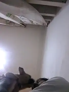 Snapshot of CubanoxxxSex chatting on 02-12-26, 05:13 CubanoxxxSex online show from 02-12-26, 05:13