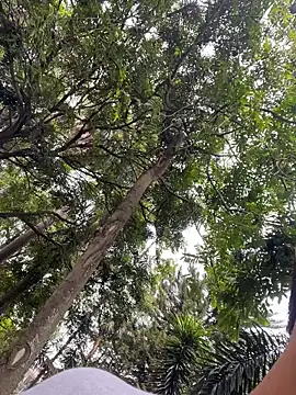 Gael Velaryx online show from 04-10-26, 03:30