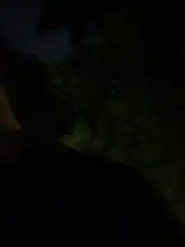 Gael Velaryx online show from 04-02-26, 03:13