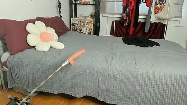 CalmFever online show from 02-19-26, 01:19