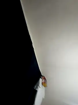 baby 22cm online show from 02-11-26, 01:38