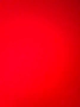 DocCock021 online show from 02-18-26, 09:44