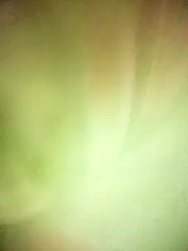 BIG QWEEN NO1 online show from 02-20-26, 06:37