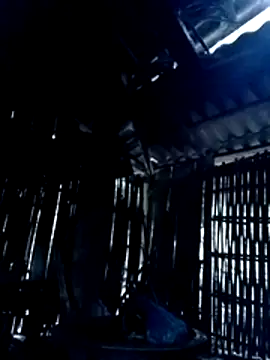 Nhoccon90 online show from 02-25-26, 01:06