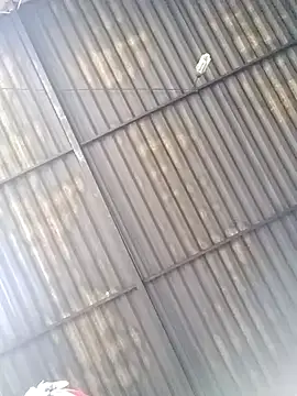 Linka998 online show from 03-25-26, 04:45