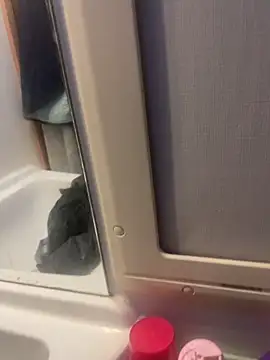 stallone italiano 62 online show from 02-26-26, 06:57