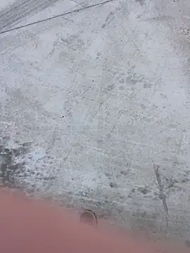 stallone italiano 62 online show from 02-08-26, 11:08