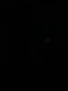 stallone italiano 62 online show from 04-10-26, 04:41