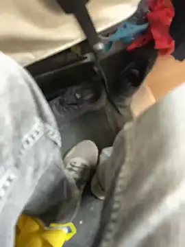 stallone italiano 62 online show from 03-21-26, 02:54