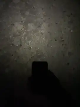 stallone italiano 62 online show from 02-17-26, 11:24