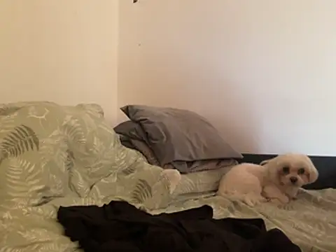 Blondniunia online show from 03-02-26, 01:18