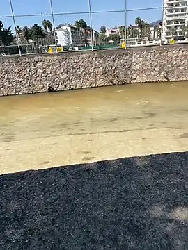 Snapshot of dundar0765 chatting on 03-13-26, 09:36 dundar0765 online show from 03-13-26, 09:36
