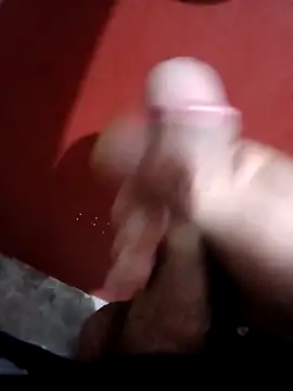 papi23l online show from 02-12-26, 07:52