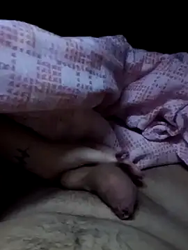 Porcellini2269 online show from 02-11-26, 10:20