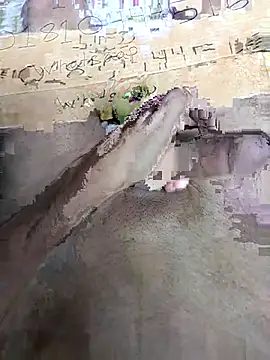 Bangladeshi big online show from 04-03-26, 10:00