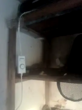 hydra0613 online show from 02-22-26, 10:44