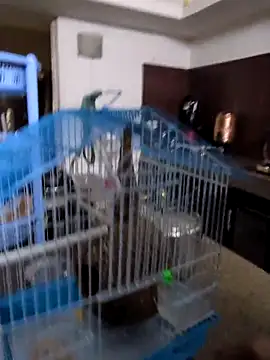 sexysilmy online show from 02-25-26, 08:36