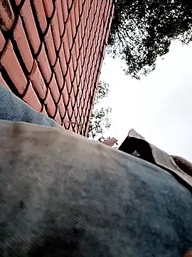 nego5628 online show from 04-01-26, 12:06