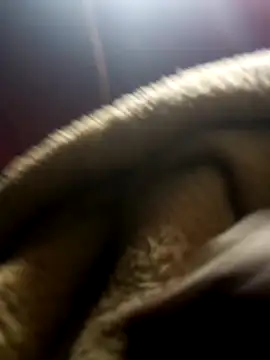 jodezww online show from 03-01-26, 08:47