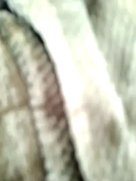 Shinlelove31 online show from 02-12-26, 05:45