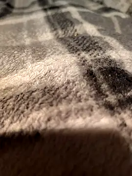 Shinlelove31 online show from 02-11-26, 03:39